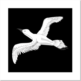 Gull Posters and Art